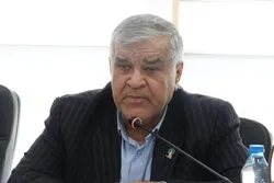 تمدید پیش&zwnj;فروش سکه به کاهش حباب و کنترل نقدینگی کمک می&zwnj;کند/ امکان پس&zwnj;انداز برای دهک&zwnj;های پایین