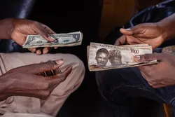 مداخله بانک&zwnj;های مرکزی آفریقا برای حمایت از پول ملی و مهار تورم