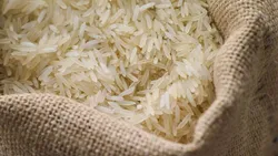 امنیت غذایی جهان بر سر دوراهی