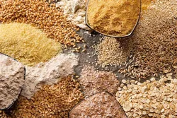 ذخایر غلات ایران در رتبه هشتم دنیا