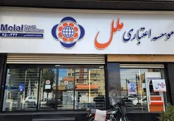 همه طرح&zwnj;های وام &laquo;موسسه اعتباری ملل&raquo;