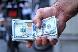 اوج اضطراب در بازار ارز 
ریزش دلار تا کجا ادامه دارد؟