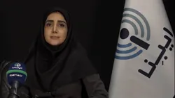 فعالان اقتصادی سالانه تنها یک مالیات پرداخت می&zwnj;کنند