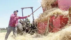 هزاران نفر در اردن از ناامنی غذایی رنج می&zwnj;برند