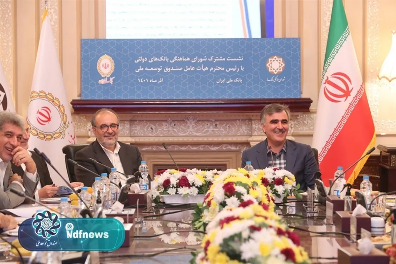 پیشنهاد صندوق توسعه ملی برای تسویه بدهی دولت / بانک‌ها در بازگشت تسهیلات ارزی همکاری کردند