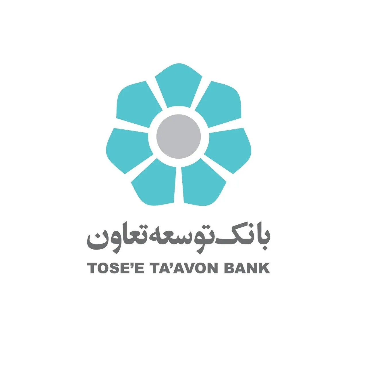 فعالیت دوایر ارزی بانک توسعه تعاون در سطح استان‌ها در حال گسترش است