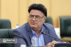 بانک مرکزی مانع قیمت&zwnj;سازی دلالان شد/ تاثیر واریز دارایی&zwnj;های بابک زنجانی در بازار ارز