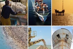 دریا، پلی برای توسعه/ اقتصاد دریا در کانون توجه دولت سیزدهم