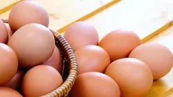 صادرات ۳۰ هزار تن تخم&zwnj;مرغ در ۲ ماه گذشته