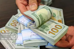 ۳۳ میلیارد دلار برای واردات تامین ارز شد/ سهم ۲۵ میلیارد دلاری صنایع کشور از واردات