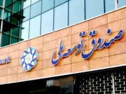 آغاز مشارکت صندوق توسعه ملی در میادین نفتی