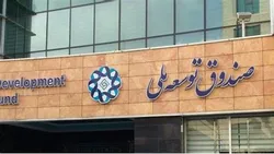 ۲۰ درصد تسهیلات صندوق توسعه ملی به نهاد&zwnj;های عمومی غیر دولتی می&zwnj;رسد