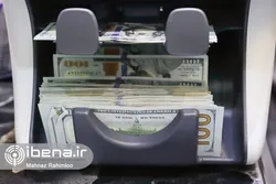 انتشار نرخ&zwnj;های خرید و فروش ارز توسط صرافی&zwnj;ها در وبگاه بازار متشکل ارز ایران