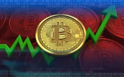 این رمز ارز رکورد یک سال اخیر را زد!