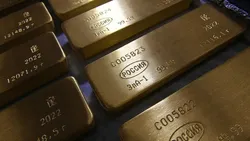 ذخایر ارزی خارجی روسیه افزایش یافت